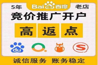 SEM竞价优化策略：成功案例解析